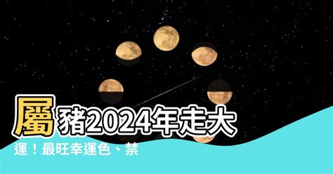 屬豬的幸運色|【屬豬幸運色】屬豬者專屬幸運色！2024豬年最強運勢指南